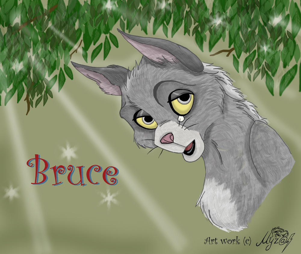 Bruce.jpg