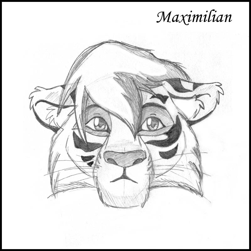 Tiger Maximilian ^-^