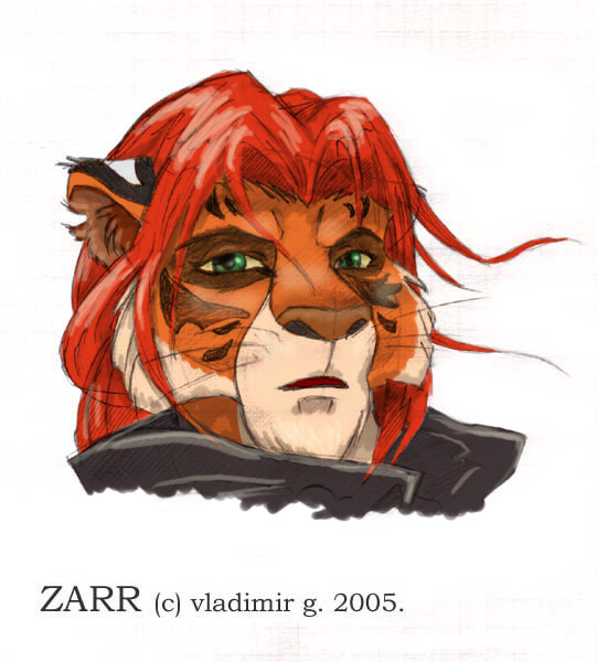 tiger_zarr_sketch_colour.jpg