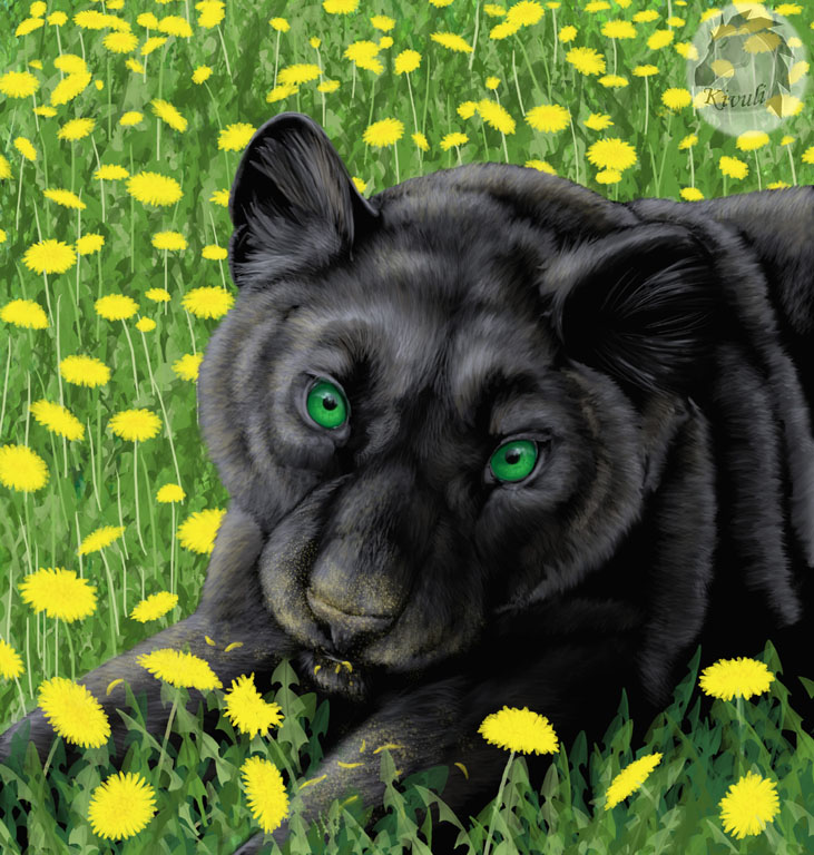 KivPanther in dandelions.jpg