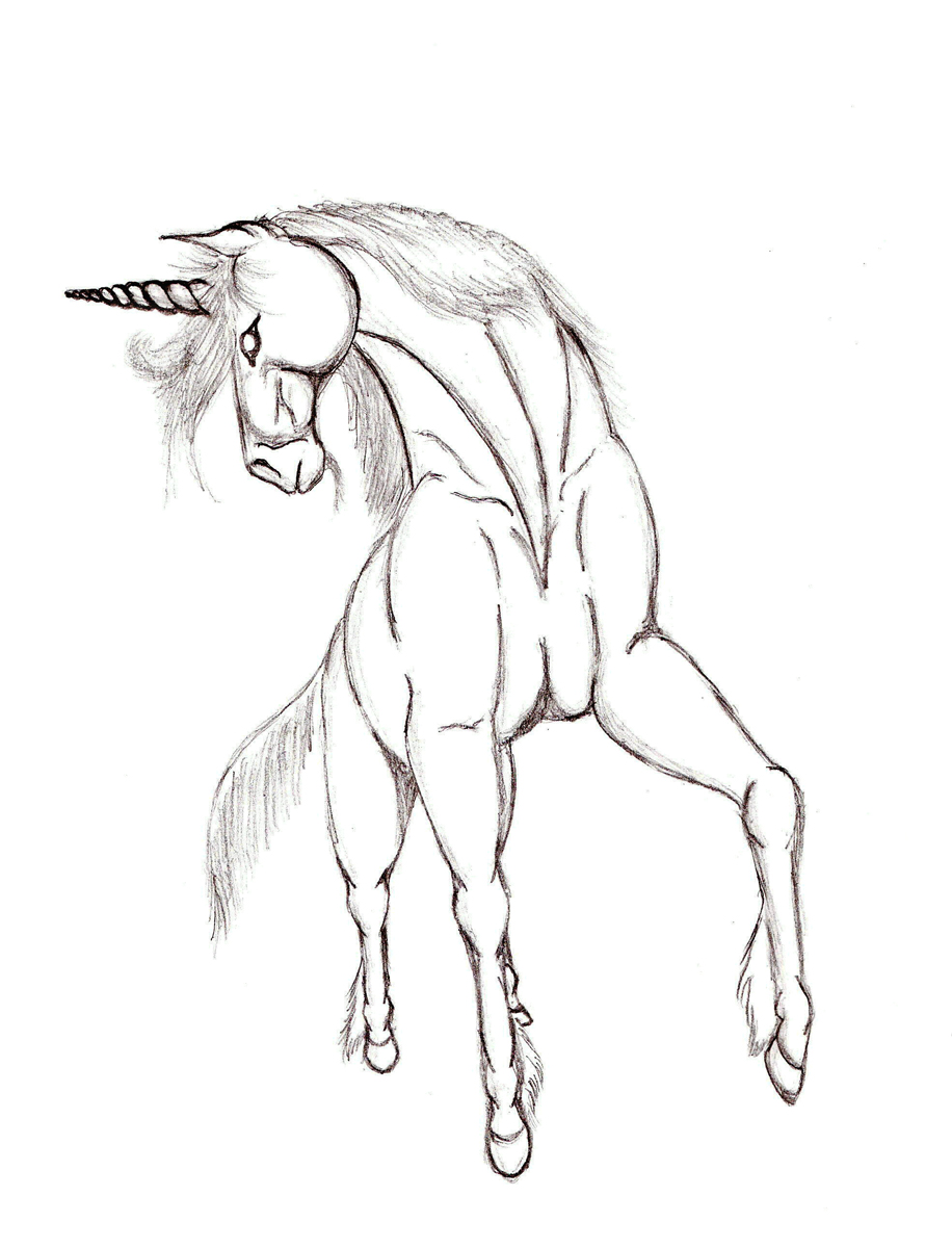 unicorn sketch.jpg