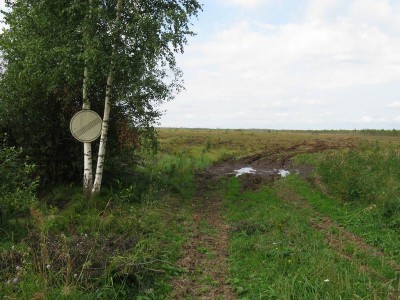 Знаменитый знак &amp;quot;конец всех ограничений&amp;quot;, прибитый к березе у начала болота. Глубина лужи - чуть выше колена. Если б не она, можно было бы спокойно идти в обычных сапогах.