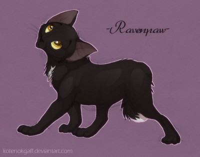 kotenok_gaff_ravenpaw.jpg