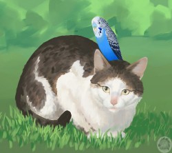 KivCatParrot.jpg