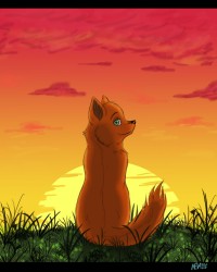 doggy_and_sunset_by_NevaAven.jpg