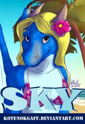 kote_sky_badge_sm.jpg