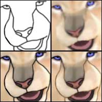 lioness_tutorial.jpg