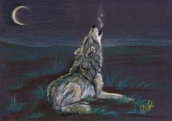 kote_wolf_howl.jpg