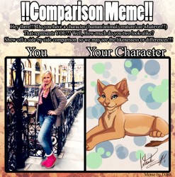 kote_comparsion.jpg