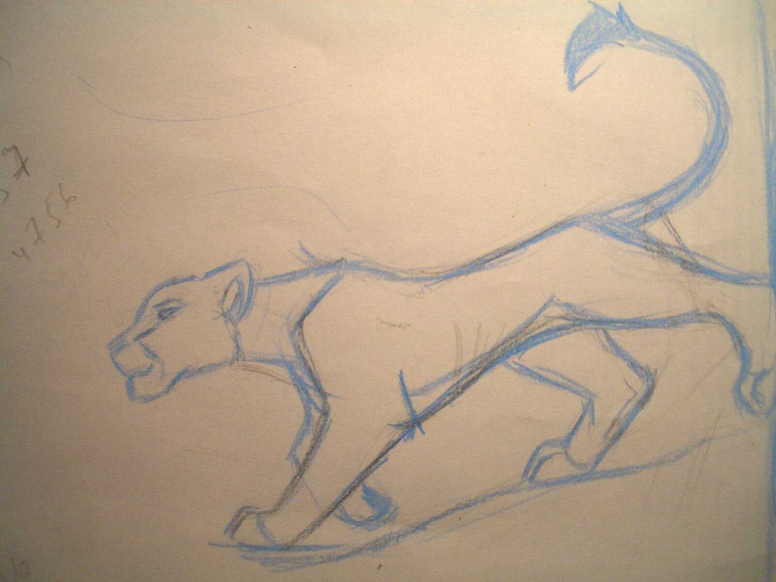 kotenok_gaff_lioness_walking_scetch.JPG