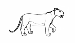 missed_chance_lioness_2.2.png